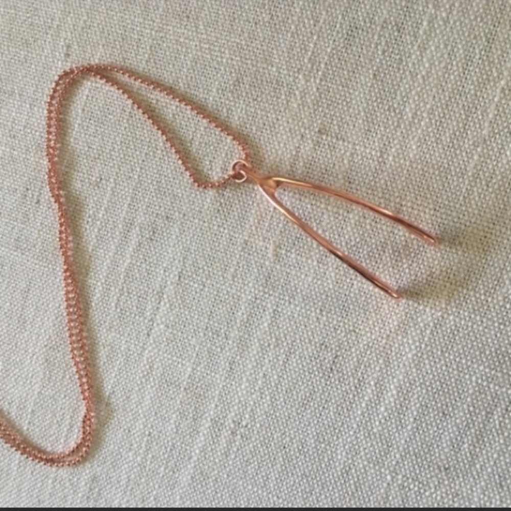 Marc Jacobs wishbone necklace NWOT